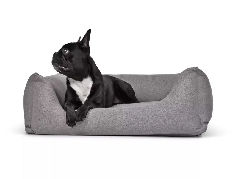 Hundebett World Silver von www.pads4dogs.net