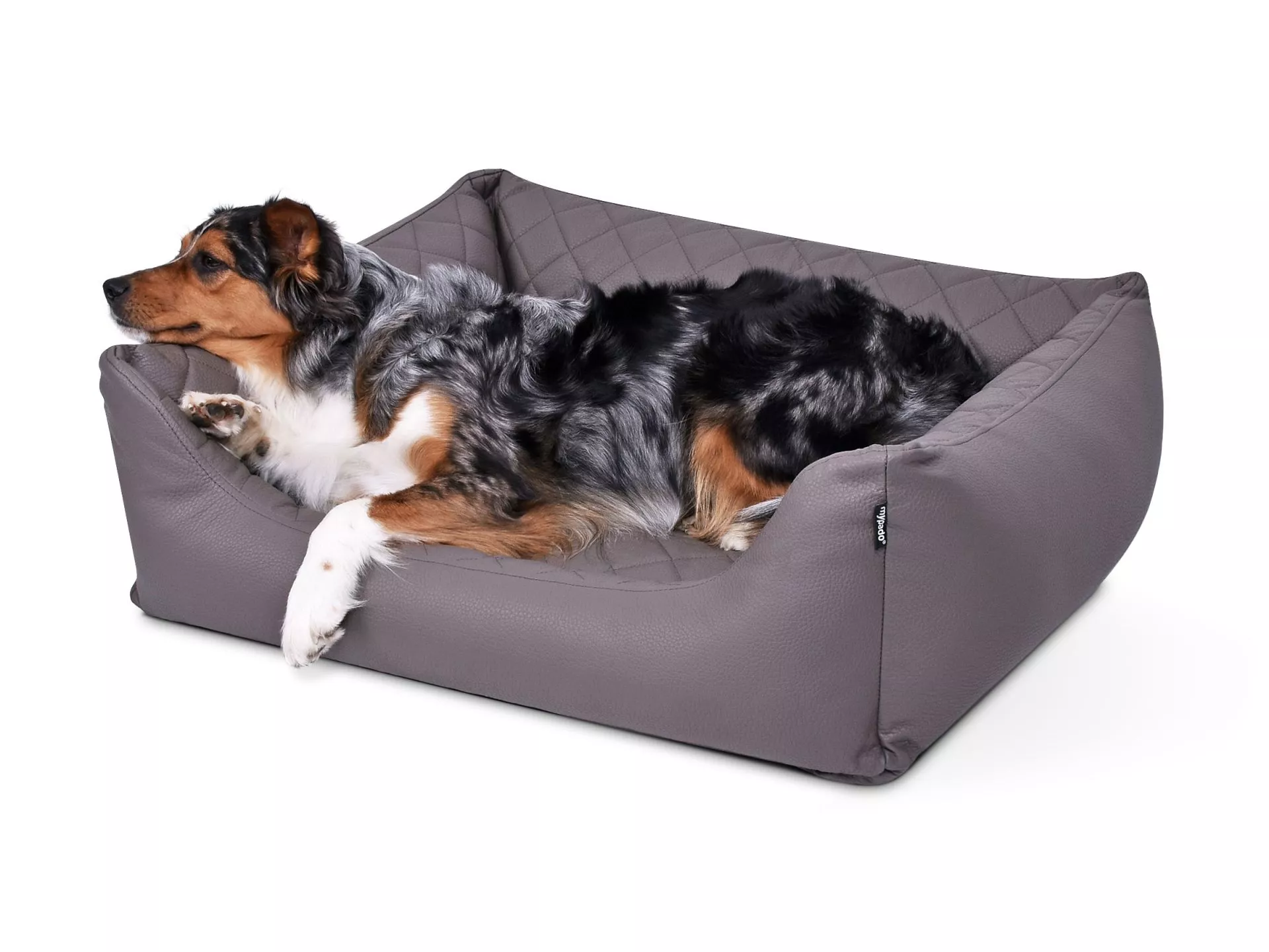 Hundebett World Kunstleder Premium von www.pads4dogs.net