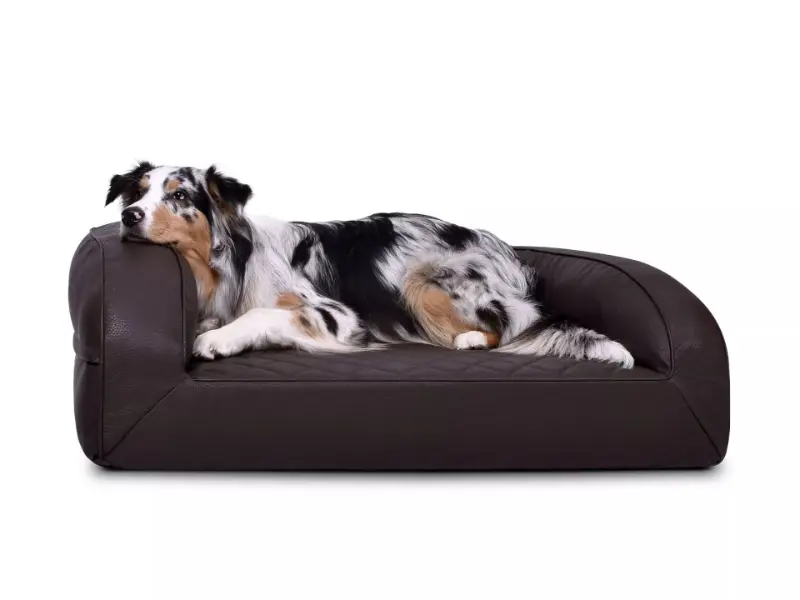 Hundebett Flo Kunstleder Premium von www.pads4dogs.net