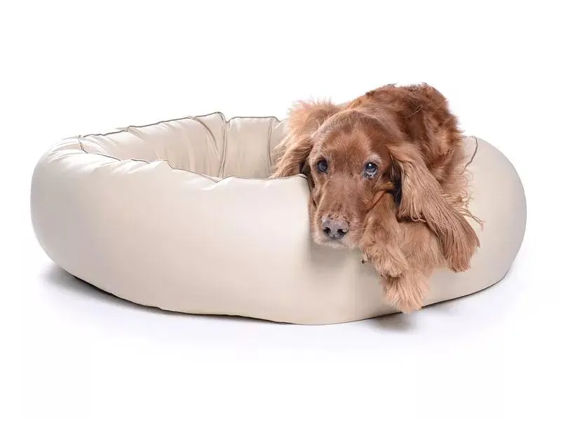 Hundebett K-Nax Kunstleder von www.pads4dogs.net