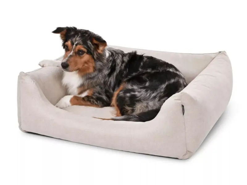 Hundebett World Comfort von www.pads4dogs.net