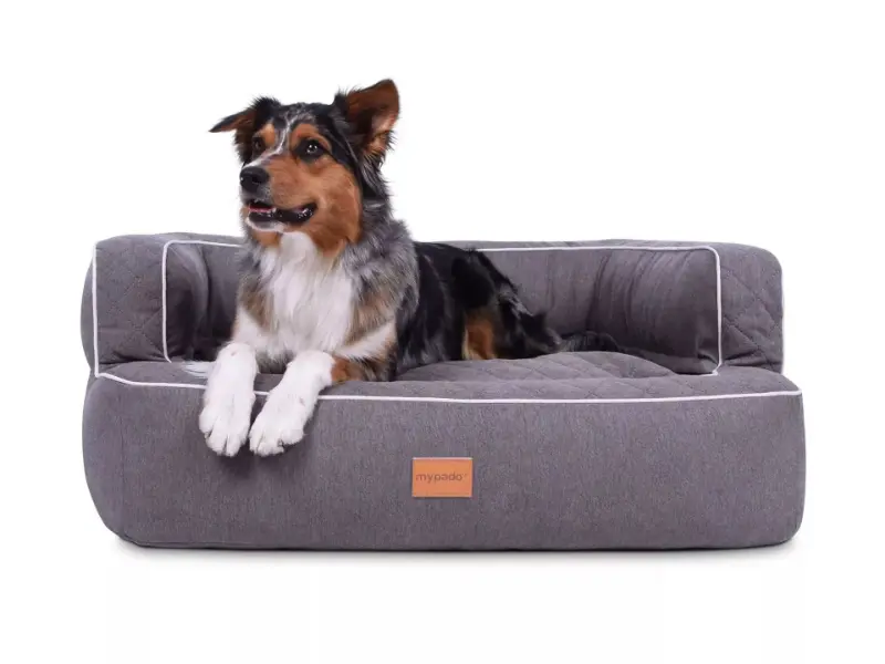 Hundebett Neo Luxury von www.pads4dogs.net