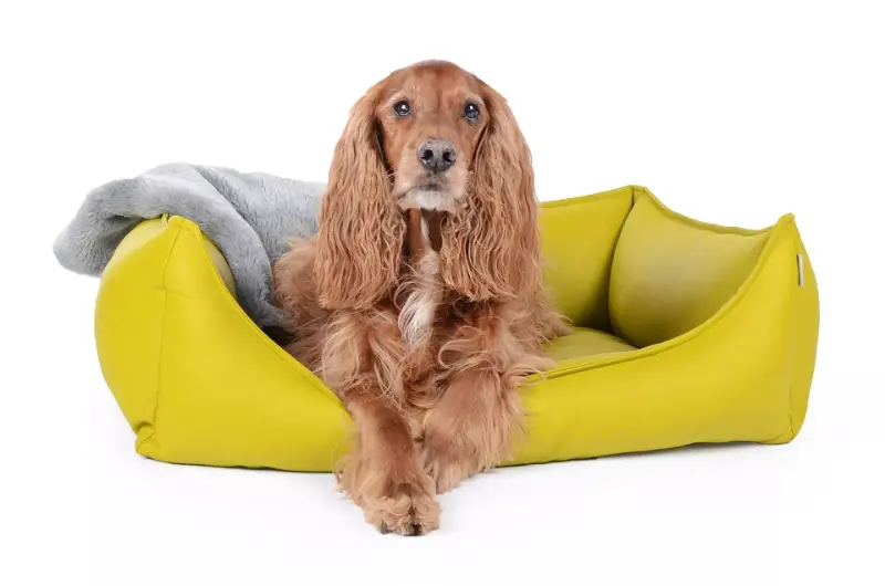 Hundebett Dreamer Kunstleder von www.pads4dogs.net